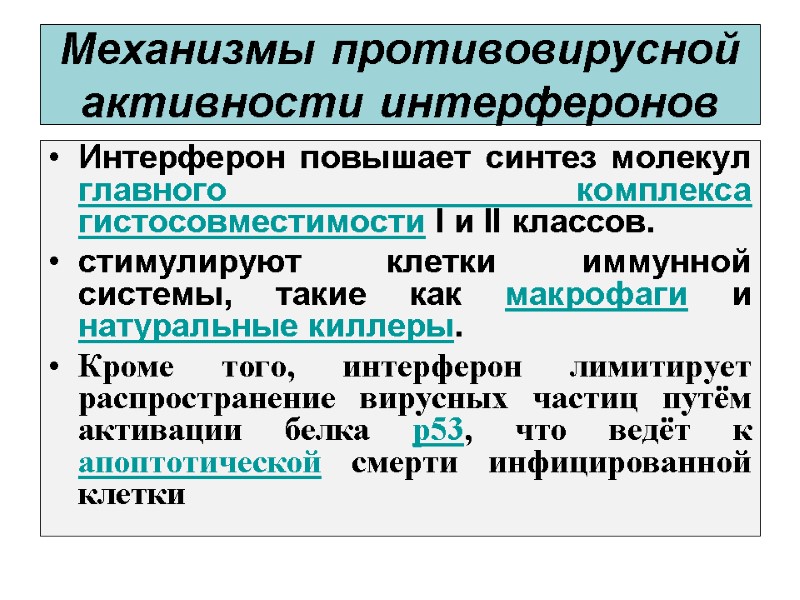 Механизмы противовирусной активности интерферонов Интерферон повышает синтез молекул главного комплекса гистосовместимости I и II